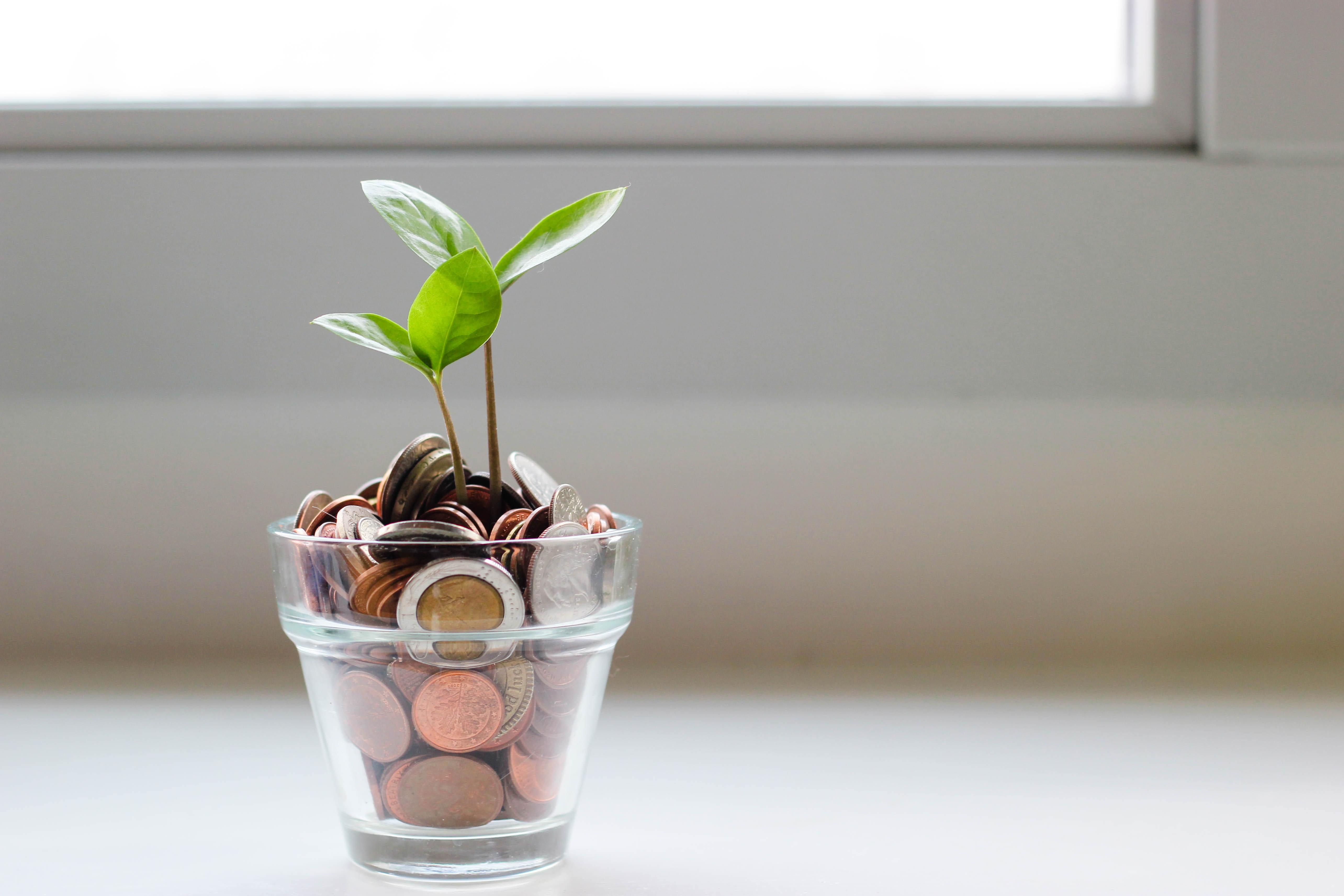 植木の貯金箱